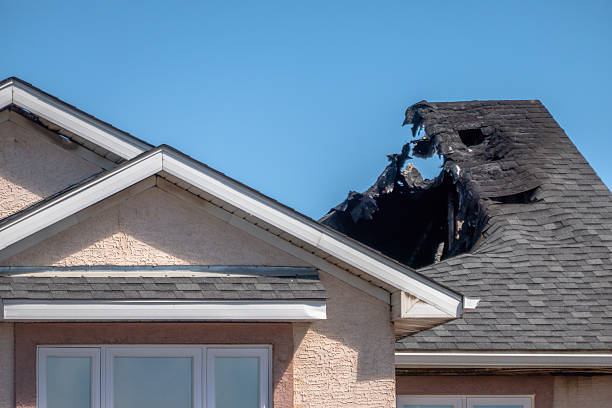 Top rated local Odor Removal specialists in Middletown, OH